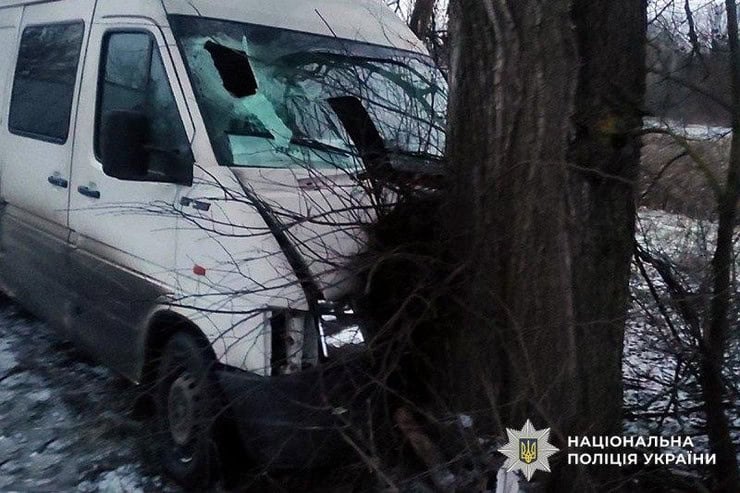 ДТП в Лубенському районі: автомобіль врізався в дерево, постраждала жінка