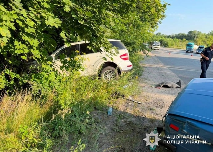 Смертельна ДТП в Пирятинській громаді: пасажир загинув, водій травмований